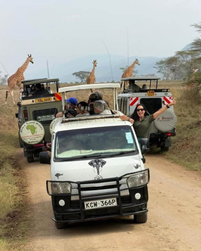 Group of ELMAG SAFARIS safari vans together on a game drive in Kenya